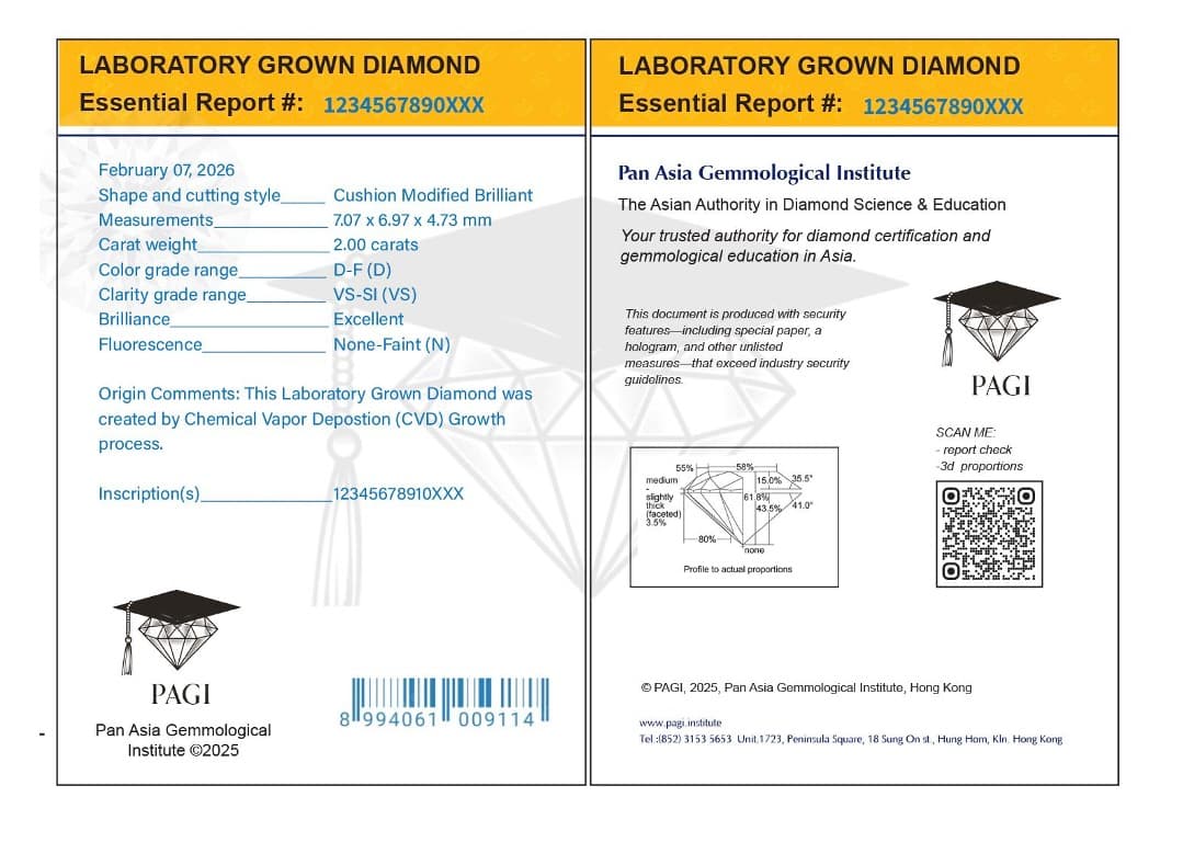 Diamond jewellery evaluated at PAGI