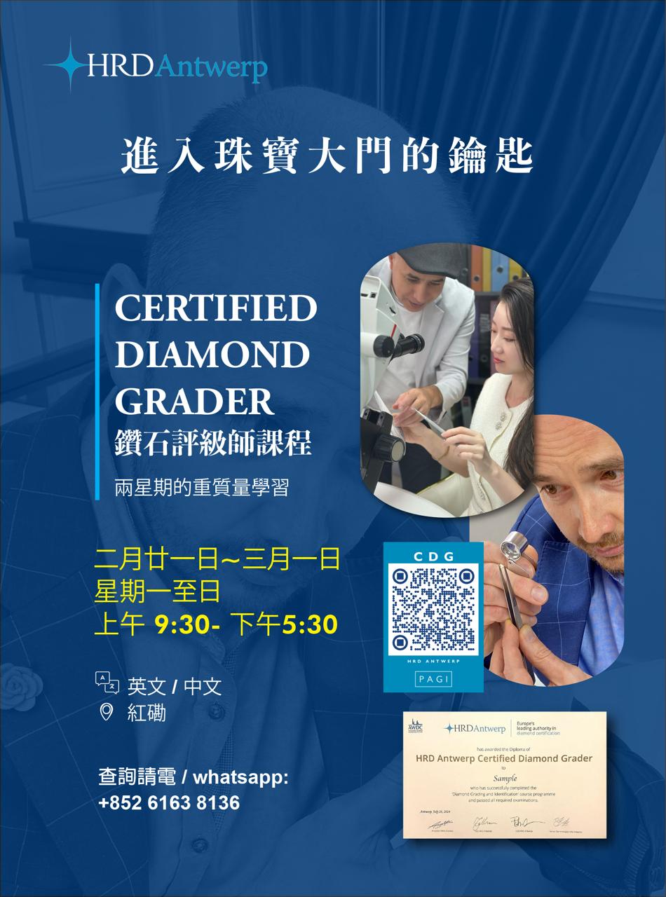 CDG Certified Diamond Grader HRD Antwerp - Image 3